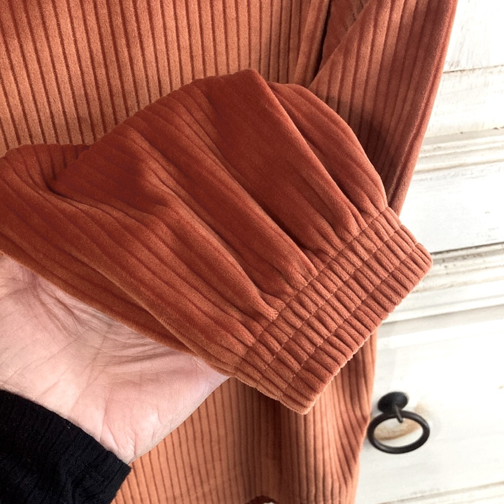 Crave Fame Cozy Ribbed Velvet Hoodie Rust Size Medium - Picture 4 of 6
